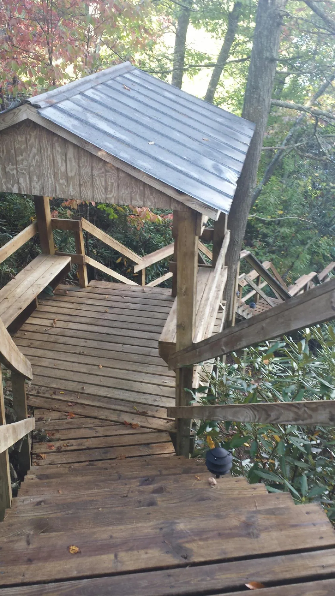 Metal roofed shelter over wooden steps on a wooded walkway — Skylight Repair & Installation work by our crew in Amador City