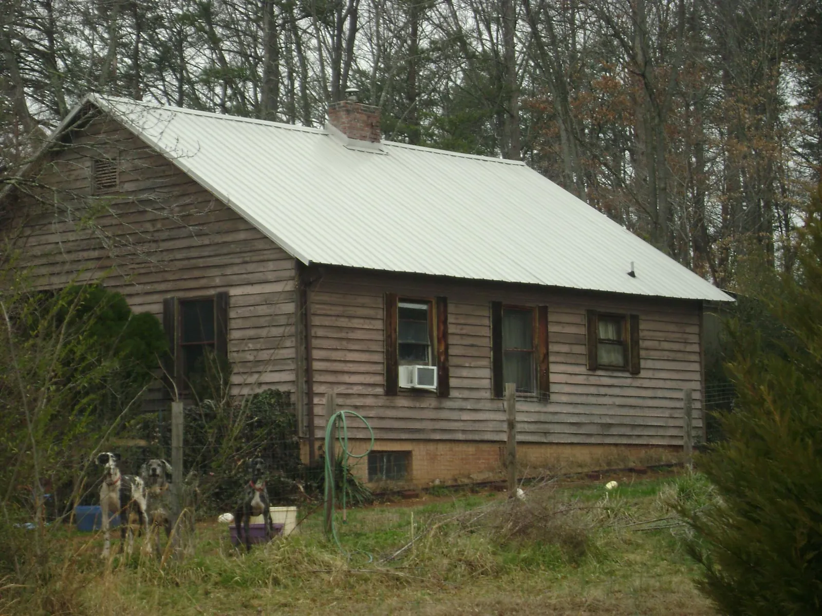 White metal roof on an old wood sided farmhouse, from a Asphalt Shingle Roof Repair job in Amador City